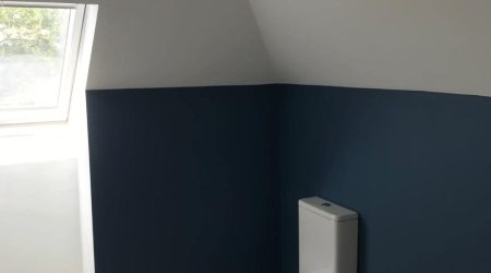 completed residential bathroom dual tone white and navy blue interior painting by Cornelius Green Decorators in Dublin