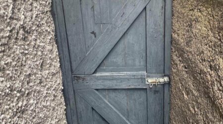 Before Exterior painting photo of a dark green side gate by Cornelius Green Decorators